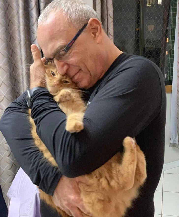 氛围感治愈温柔猫咪图片2张,带有人物与猫咪的温馨治愈图