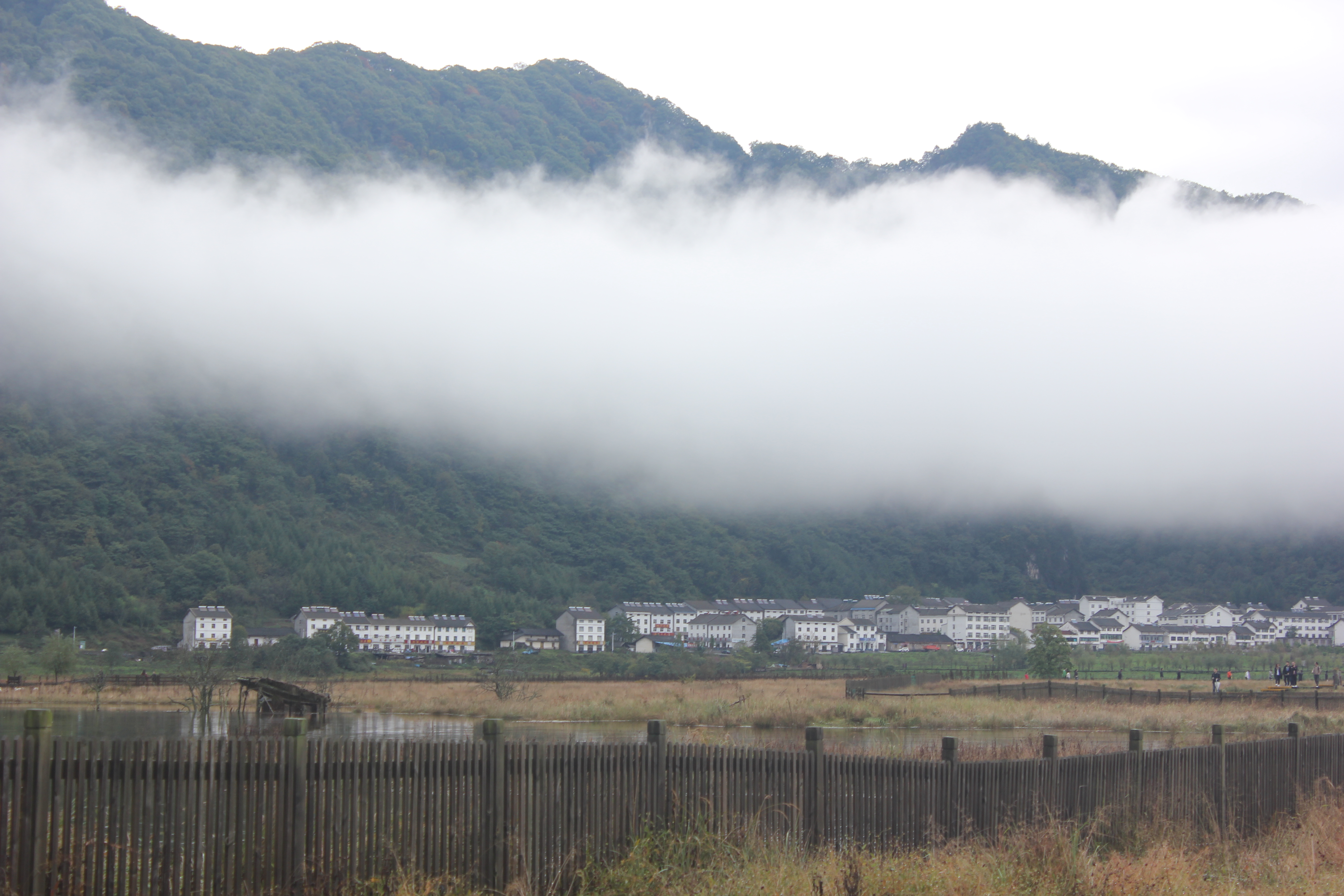 雨中神农架探秘之旅｜国庆节节武汉至神农架自驾游攻略分享