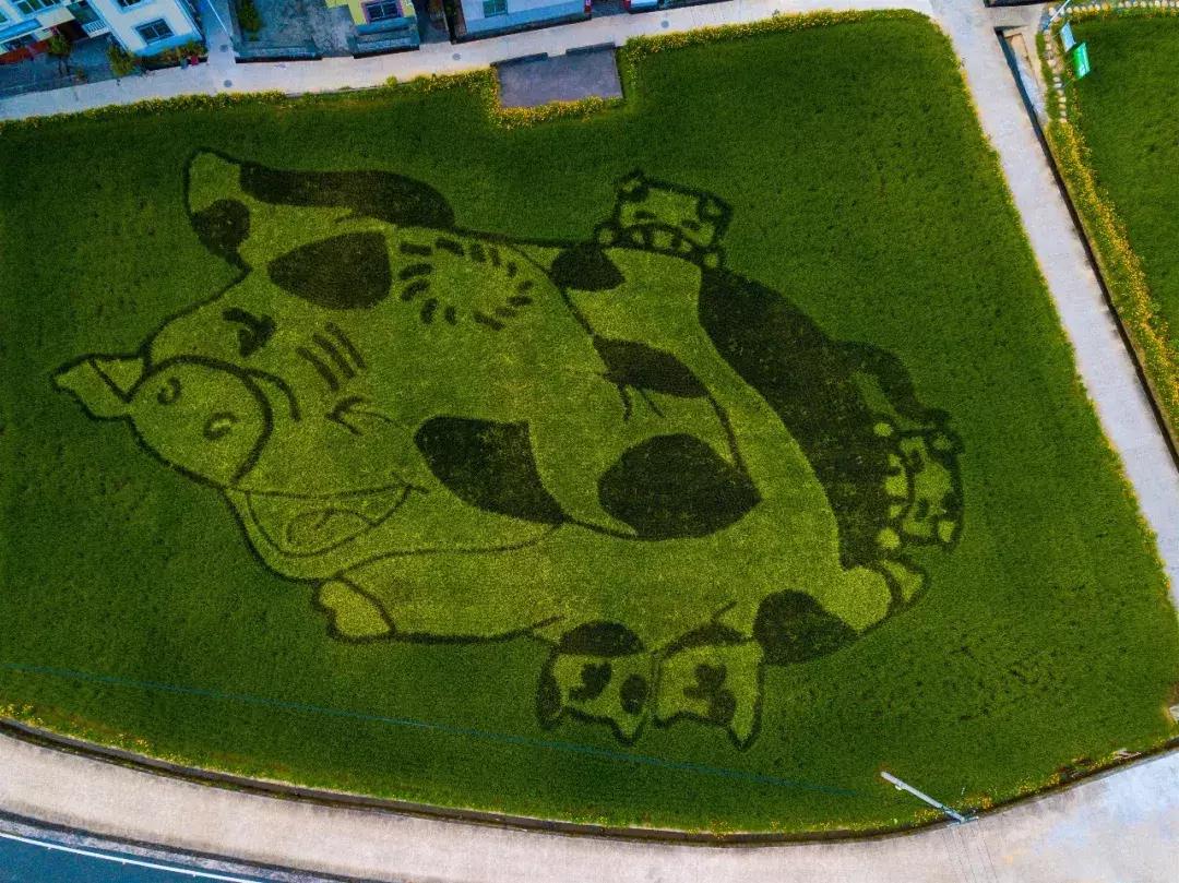 震撼！钱塘江畔出现巨型画作，有28个足球场这么大！