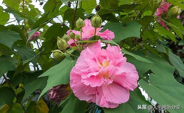 人生格言正能量励志名句简短,励志短句正能量名人名言