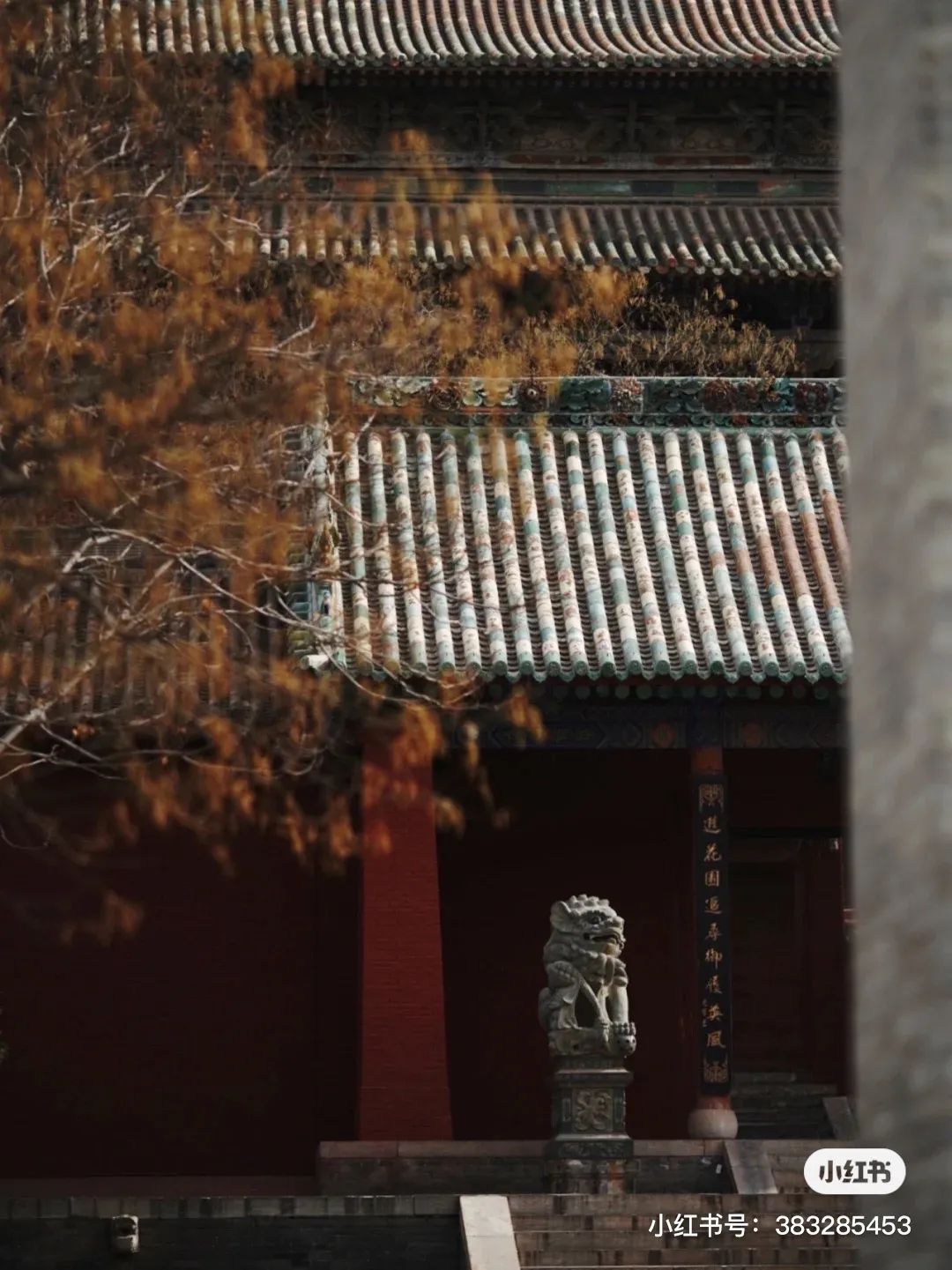 盐湖区中国死海,中国死海停业了吗