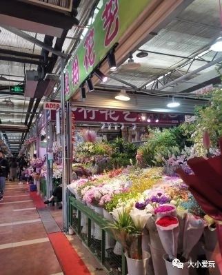 可以逛的花卉市场,值得去看的花卉市场