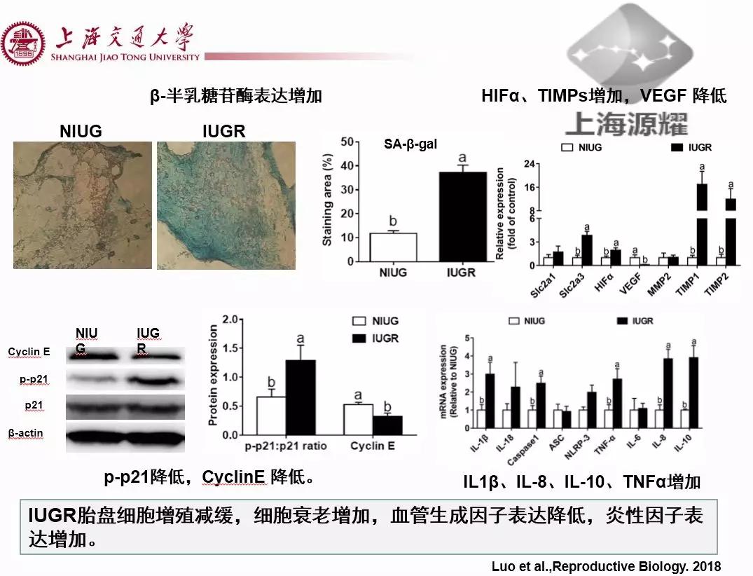 徐建雄教授讲座,徐建雄教授上海大学