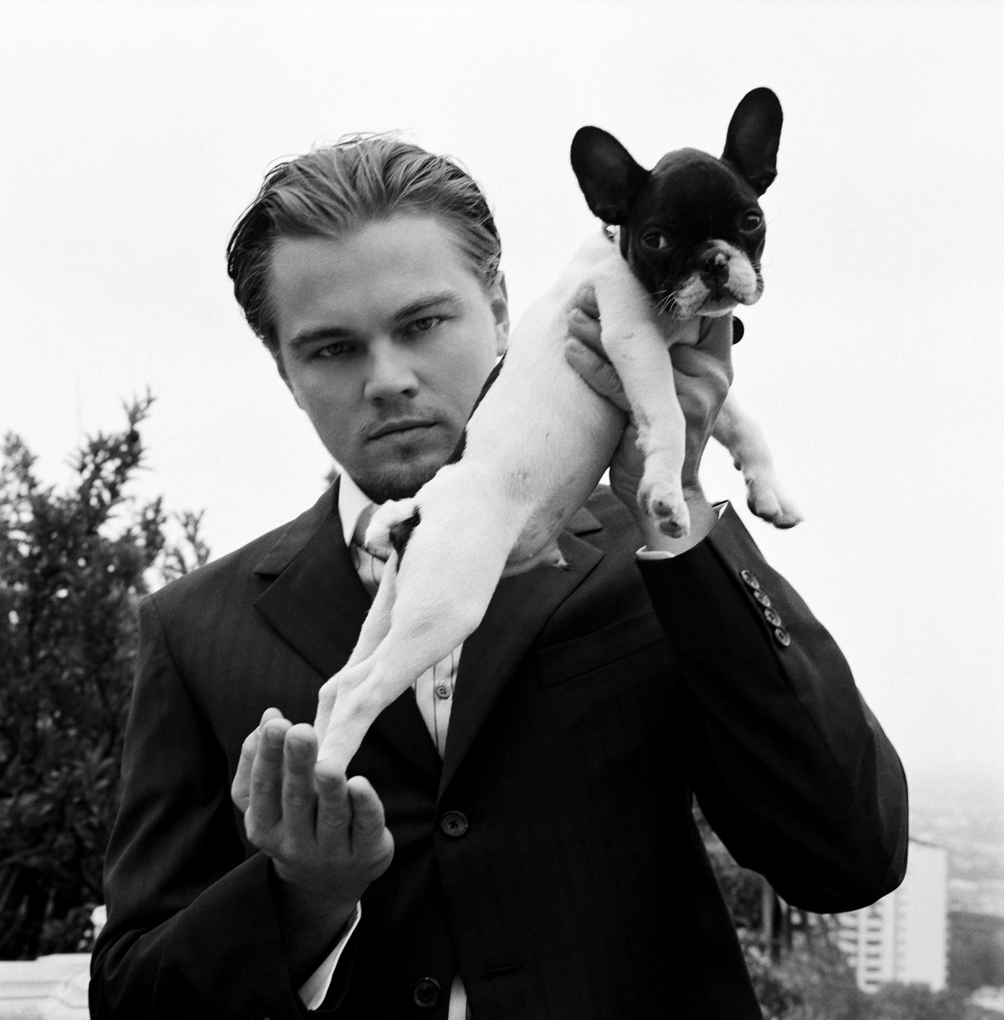 法斗犬和巴哥的区别,法斗和巴哥犬有什么关系