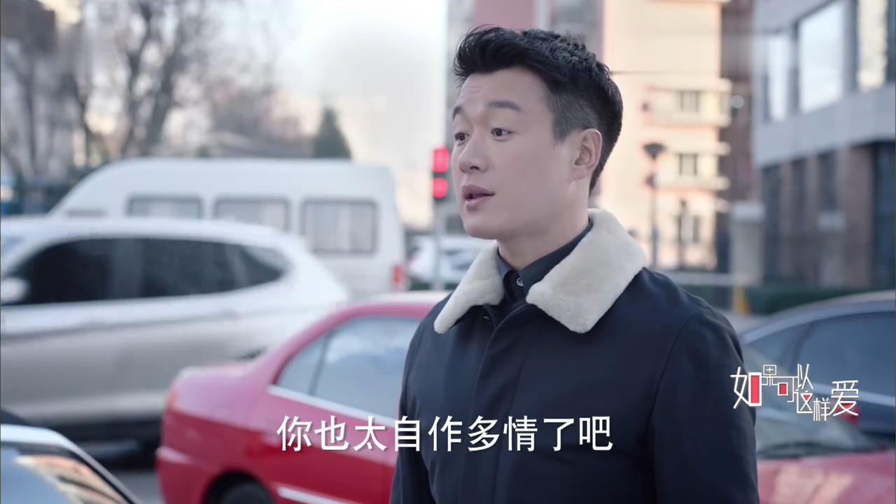 看电视学成语，场景化更好记：2019年《如果可以这样爱》第07集
