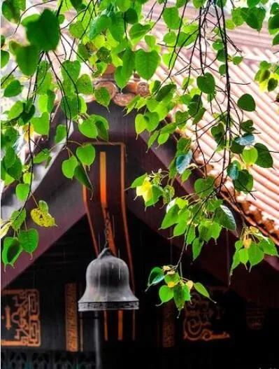 一个家庭的衰败从不好好说话开始,一个家庭走向衰败的三种征兆