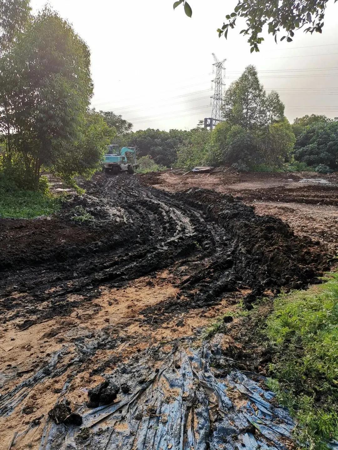 违法倾倒污泥被抓,违法倾倒污泥事件盘点