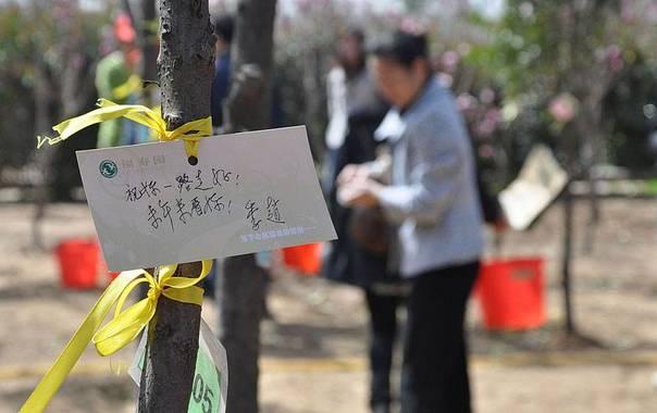 郑州墓地最优惠的区域,郑州的墓地一般需要多少钱