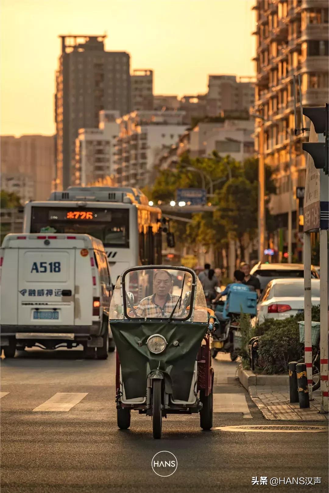 这里是台北路：绿荫蝉鸣的惬意背后，暗藏气象万千