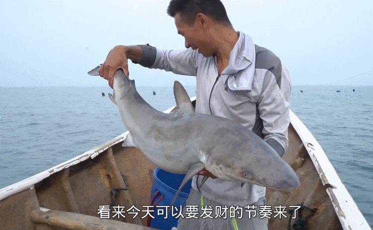 摸鱼也能赚钱？这几个会赶海的男人让全中国都羡慕了