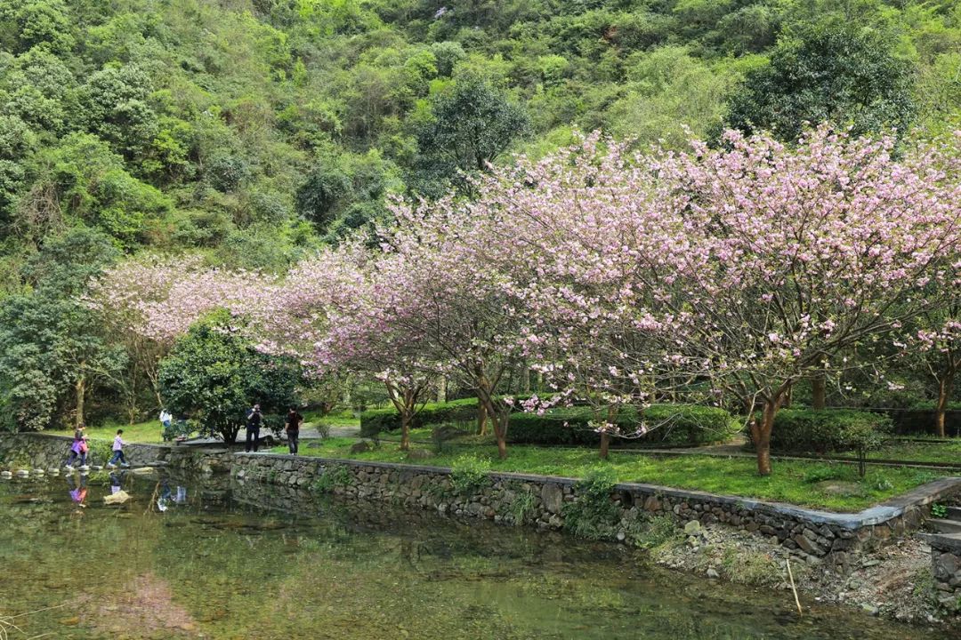 宁波避暑耍水胜地,宁波森林氧吧景区