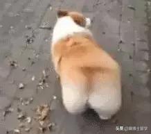 常见英美俚语,美式英语和英式英语的俚语区别