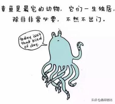 8个关于动物的冷知识,你不知道的二十条动物冷知识