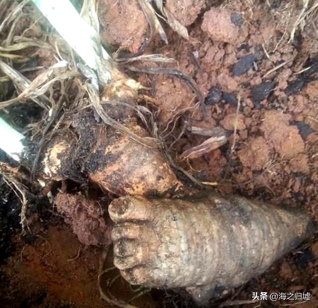 16张不可思议的巧合照片,33张不可思议的巧合照片