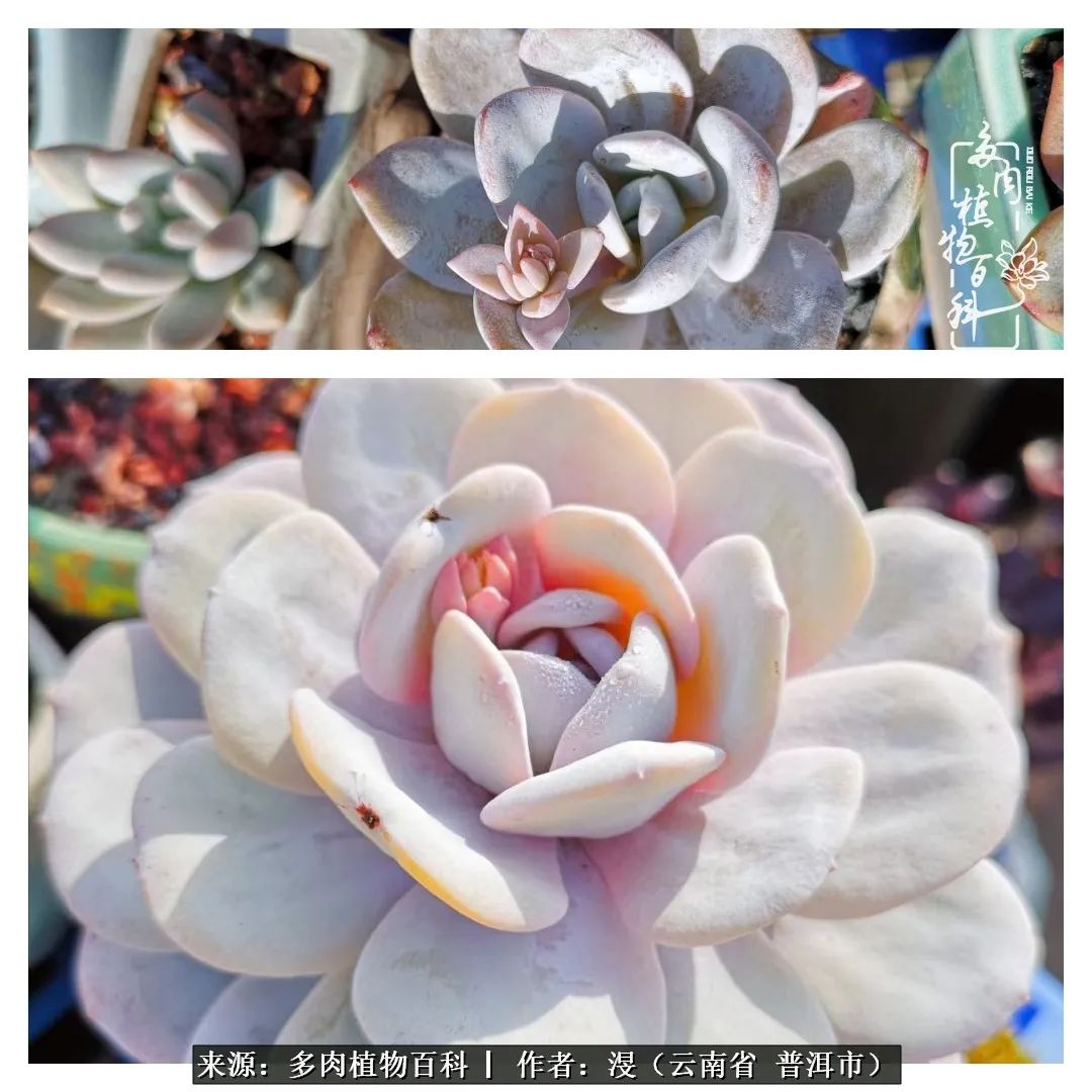 风过留痕讲的啥,风过留痕朗诵