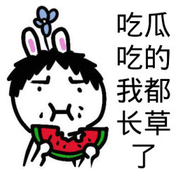 表情包八卦吃瓜群众必备表情合集,吃瓜群众表情包韩国大妈