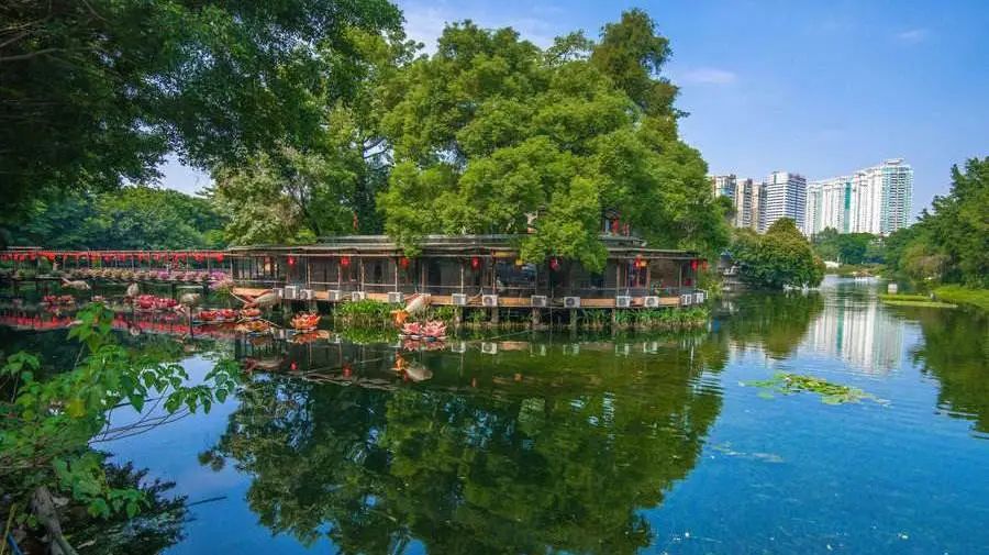 周末广州市内哪个公园最值得去,广州十大避暑旅游景点