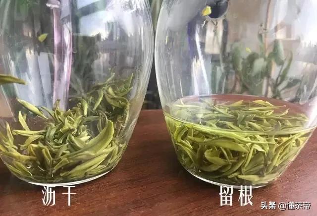 哪些茶是冲泡好的茶,掌握这几点轻松泡出好喝的茶