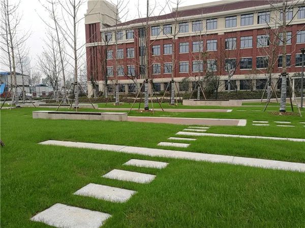 合肥四十八中教育集团怎么样,合肥四十八中初中部好吗