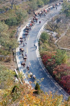 普洱茶可以配什么一起喝,你们配喝普洱茶吗