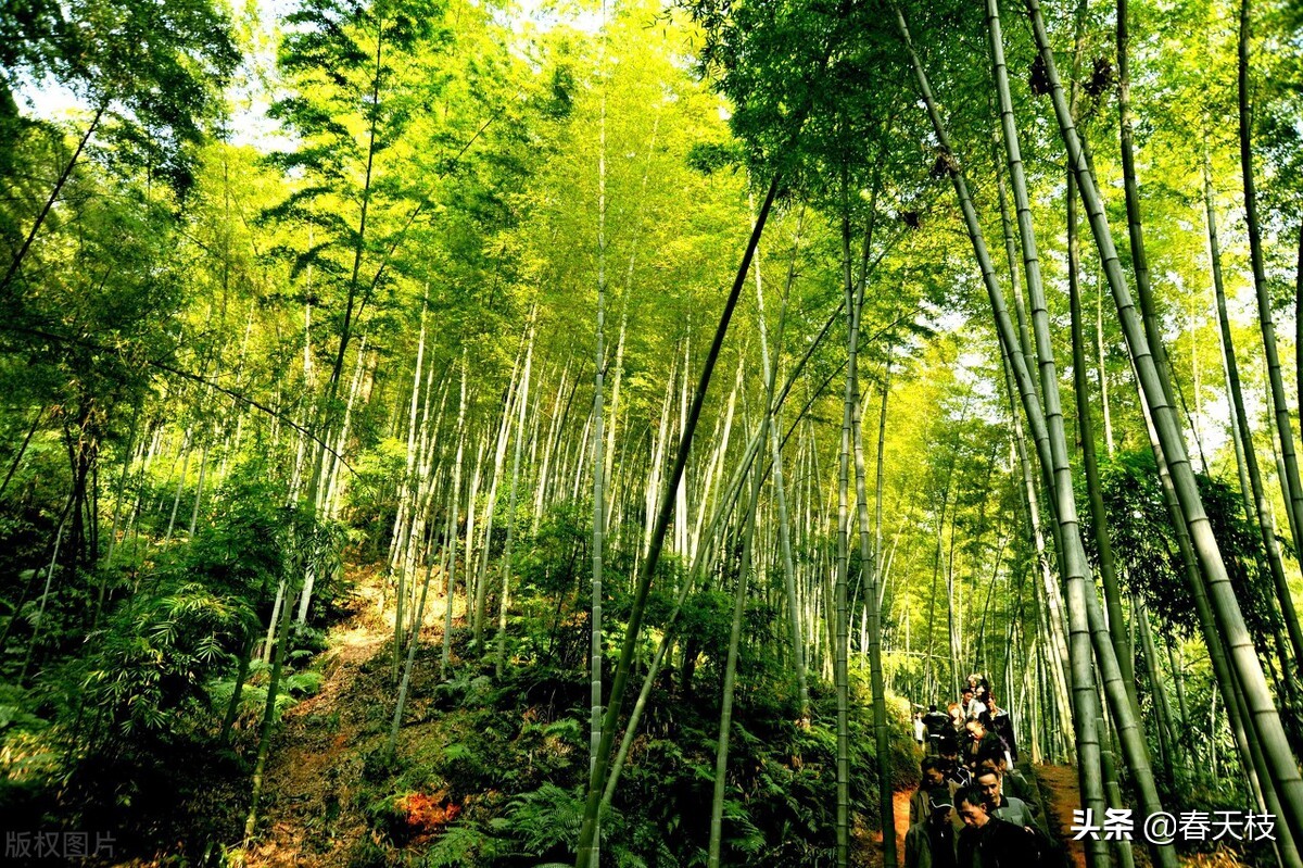山清水秀家乡的风景,最美家乡风景山清水秀