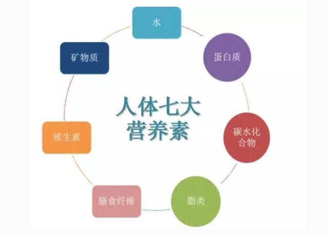 孕期需要额外补充dha吗,如何额外补充dha和ara