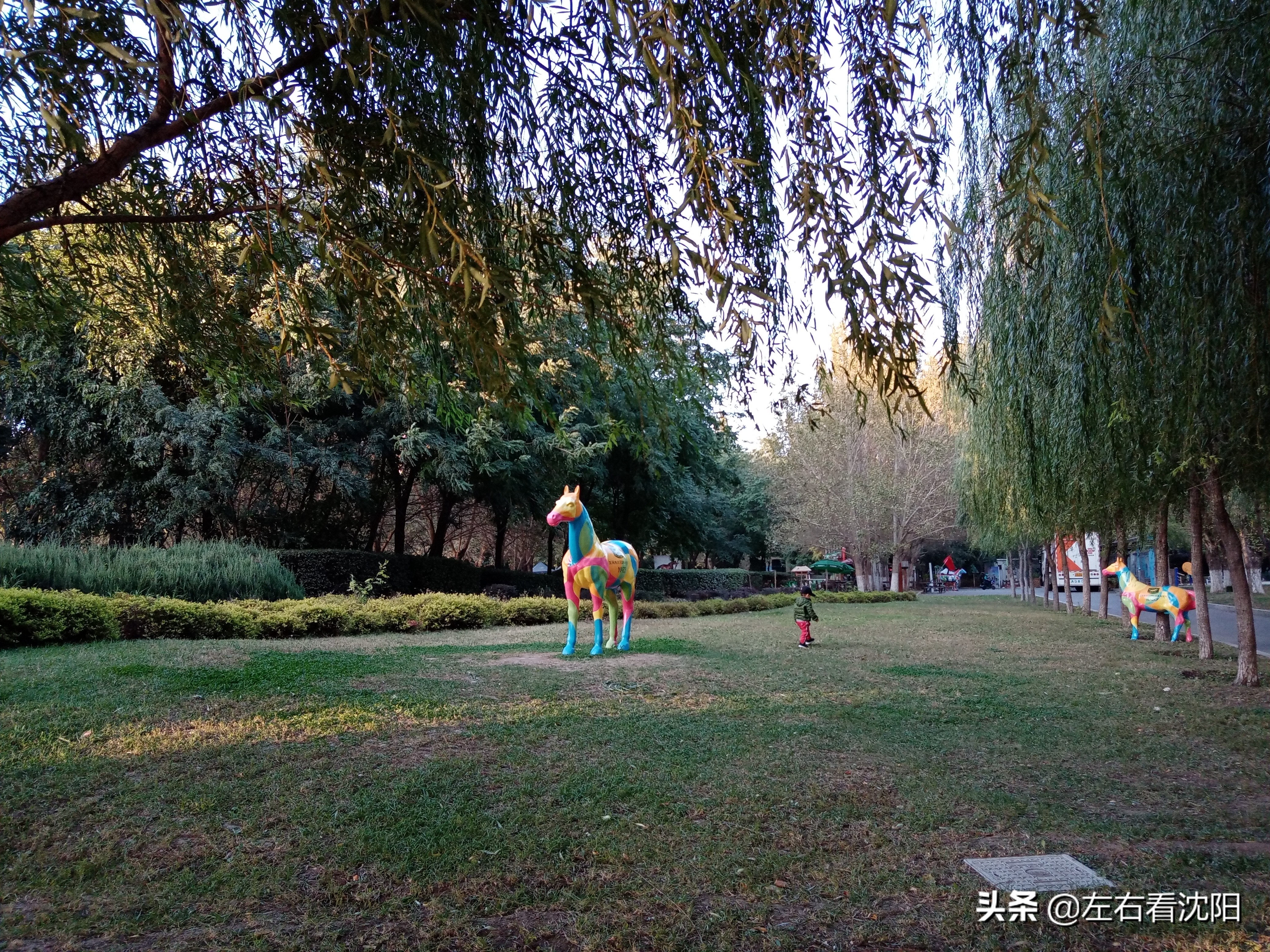 沈阳沈水湾公园看日出,沈阳浑河看海的地方