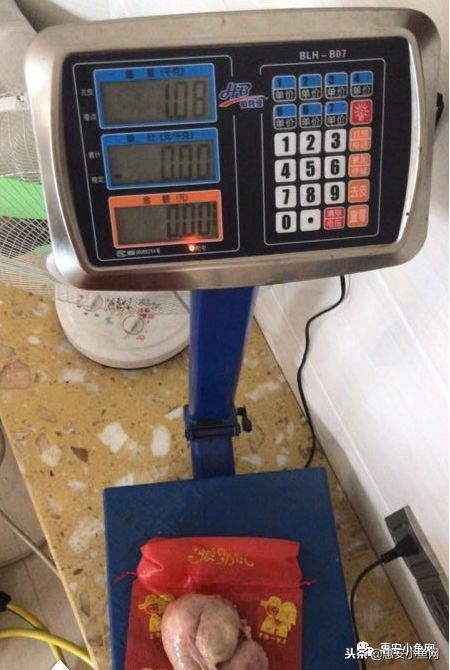 台商区｜宰杀8斤老母鸡，肚内1斤“鸡宝”！能卖多少？