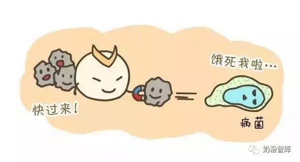 乳铁蛋白的十大好处是什么,乳铁蛋白好处与功效是什么