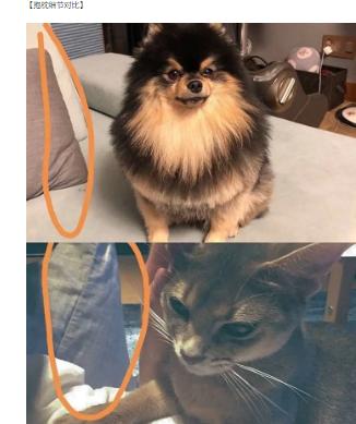 还记得《拥抱太阳的月亮》的小烟雨吗？逆袭太成功