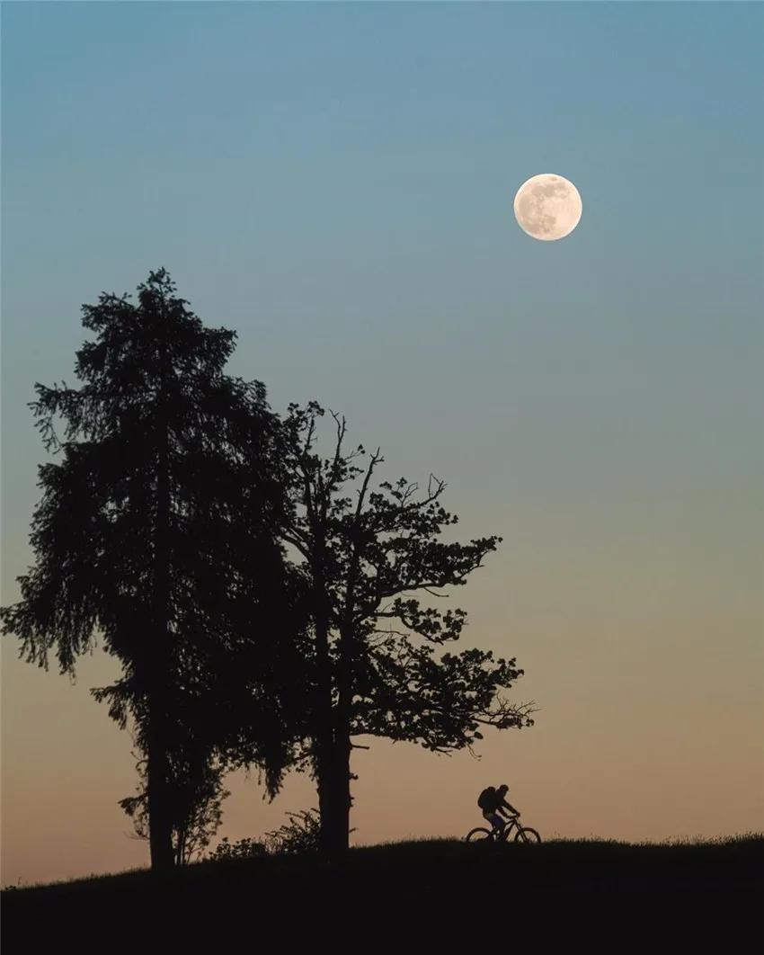 何处望神州,何处说理