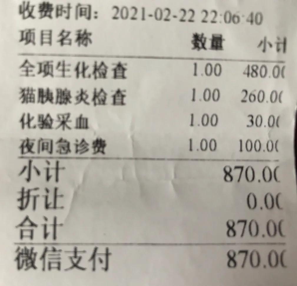 猫猫肠胃炎需要隔离吗,猫猫胃肠炎的症状及治疗方法