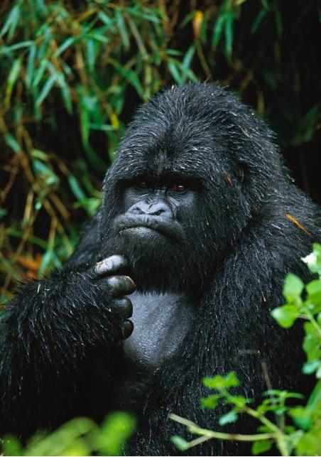 世界最好的公园门票价格,世界最牛公园门票