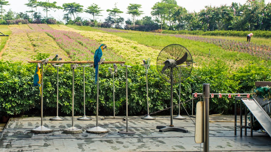 东部华侨城大峡谷瀑布门票特价,东部华侨城大侠谷瀑布