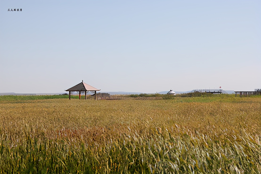森林公园白鸟湖,乘风湖百鸟乐园
