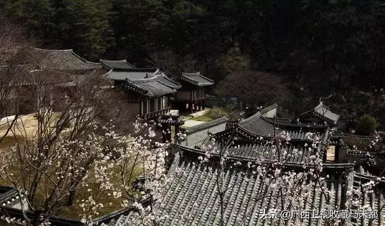 春节是否被韩国申遗成功,韩国说筷子申遗成功了吗