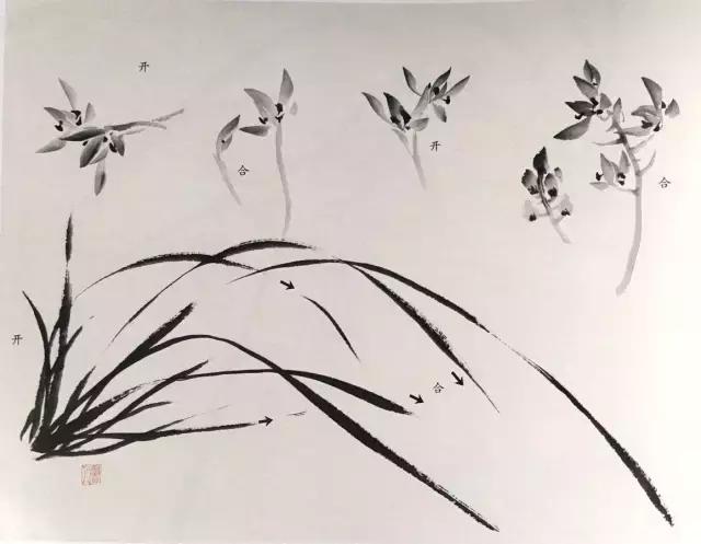 徐湛国画兰花的画法,徐湛国画兰花的画法视频教学