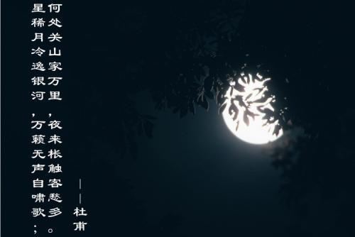 新月的诗词,新月绝句诗词