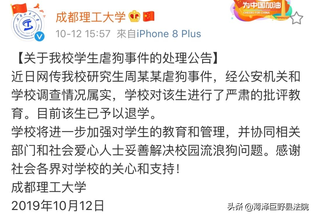 研究生杀流浪狗事件后续,研究生虐待狗事件处理结果