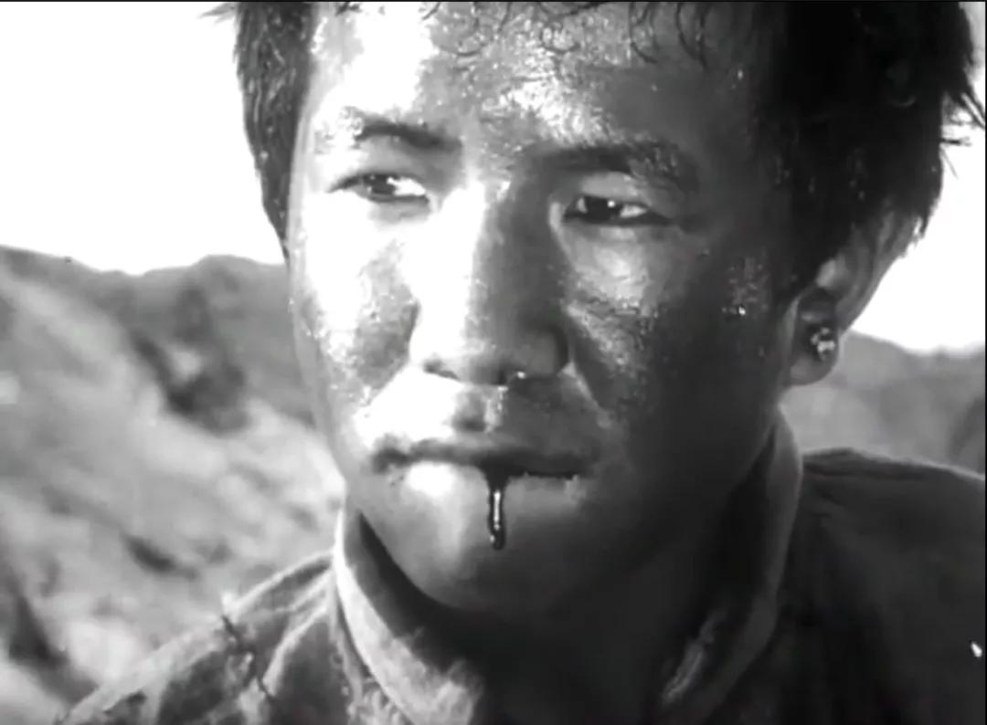 从不如牛马到翻身做主，*藏西**农奴是如何得到解放的？