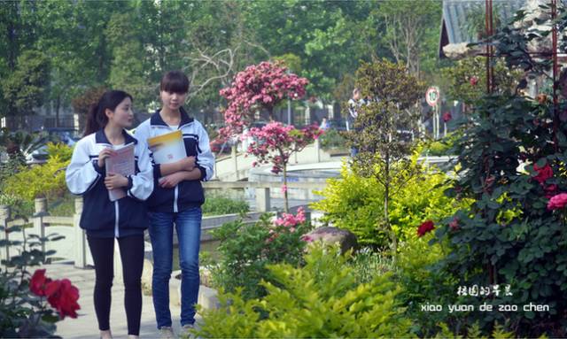 推荐十首让人泪落下的校园歌曲,50首经典校园歌曲