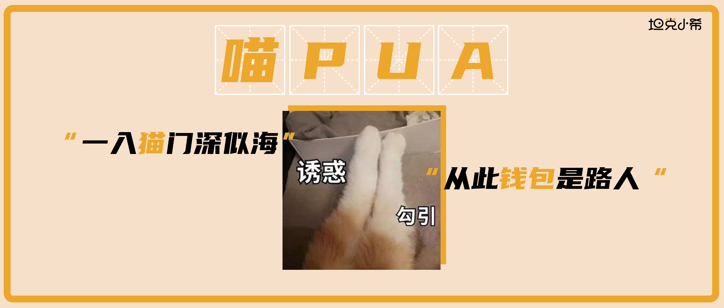 坦克小希和牧野奇迹怎么选,坦克小希和醇粹猫粮哪个好