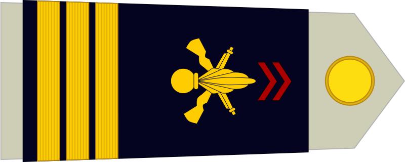 法国将军军衔等级,法国上校是什么军衔