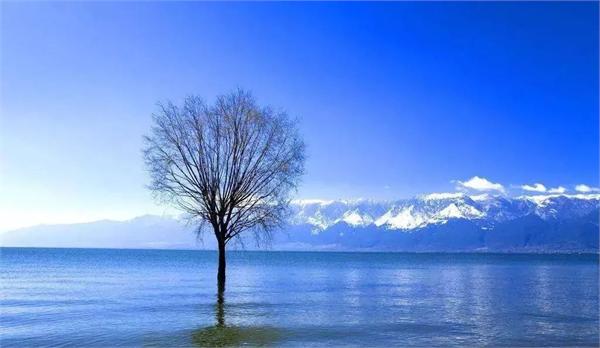 康养旅居的运营方案,康养旅居需要什么手续