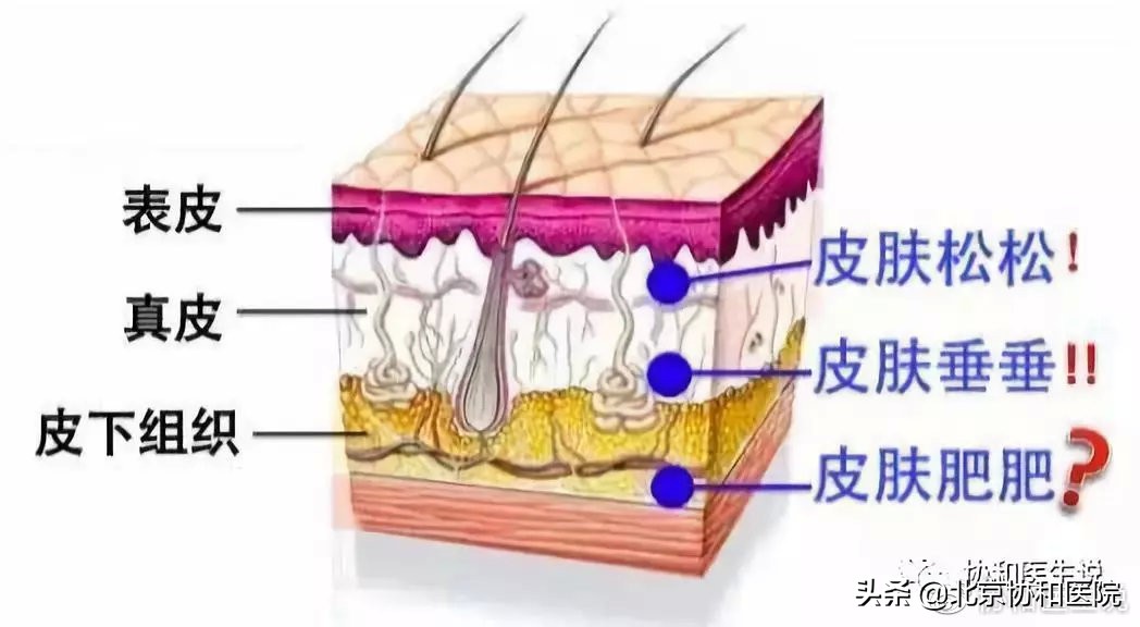40岁女性适合的身体整形医美项目,40岁的女人整形手术