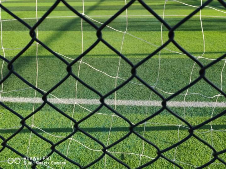 华为p50pro鸿蒙版评测,华为p50pocket鸿蒙