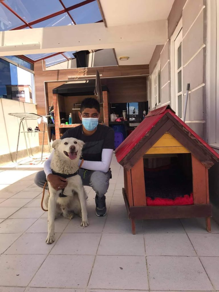 娴佹氮鐙楄鍏ヨ繍鍔ㄤ細,娴佹氮鐙楅棷鍏ヨ冻鐞冨満