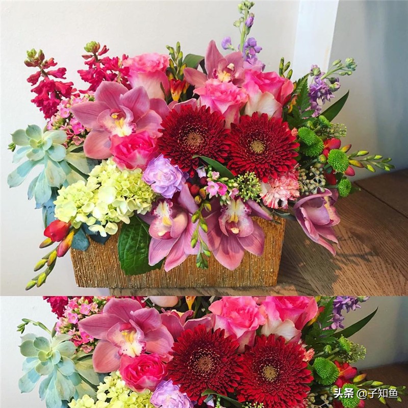 带你了解天蝎座的五个特质,天蝎座的十大缺点和十大优点