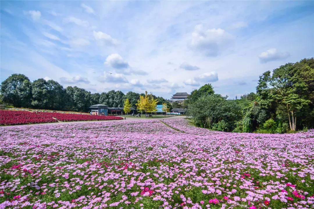 中秋优惠团购景区,团购石象湖门票