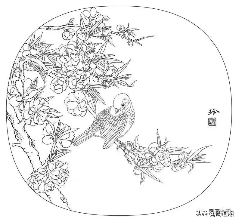 宋人工笔花鸟临摹步骤,工笔花鸟玉兰的画法